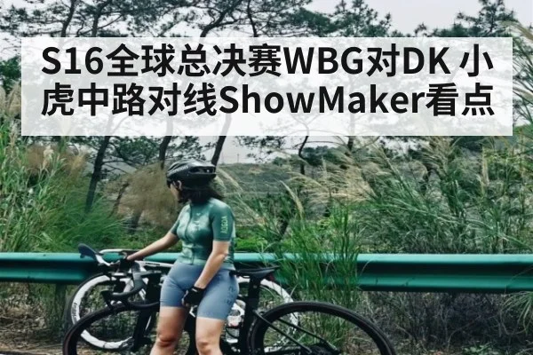 S16全球总决赛WBG对DK 小虎中路对线ShowMaker看点
